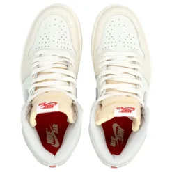Air Jordan 1 Retro High OG WIP