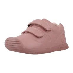Botin Basico
