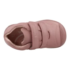 Botin Basico